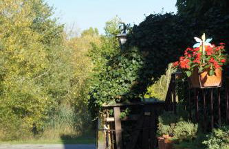 wunderschöne Ferienwohnung in Winterhausen mit Küche, Bad und Piano - Foto 23