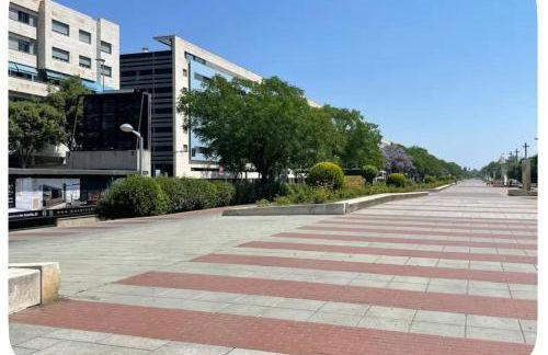 Doña Berenguela 16 - Foto 12