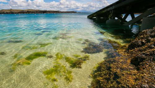 Pen y Graig - Foto 2