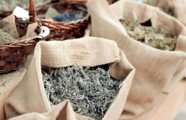 Tour Gastronômico de Comida Tradicional Albanesa - Foto 1