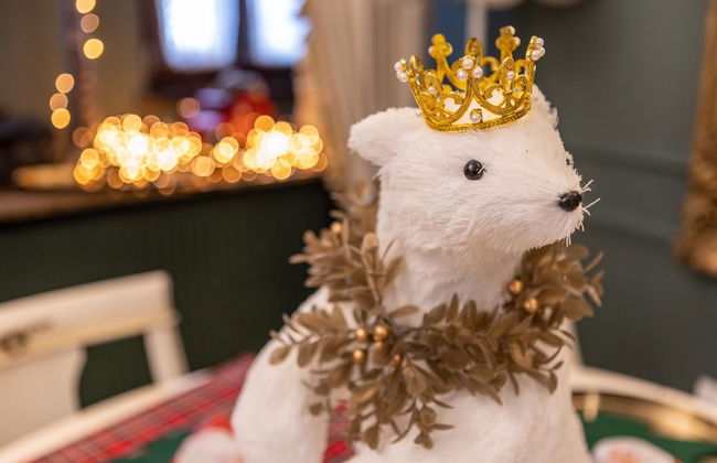 Rock Dandy La Maison de l' Ours - Nymfaio - Foto 58