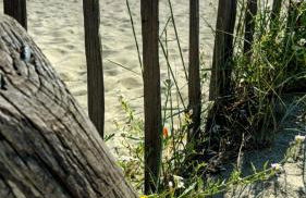 A casetta di l alivu - Foto 6