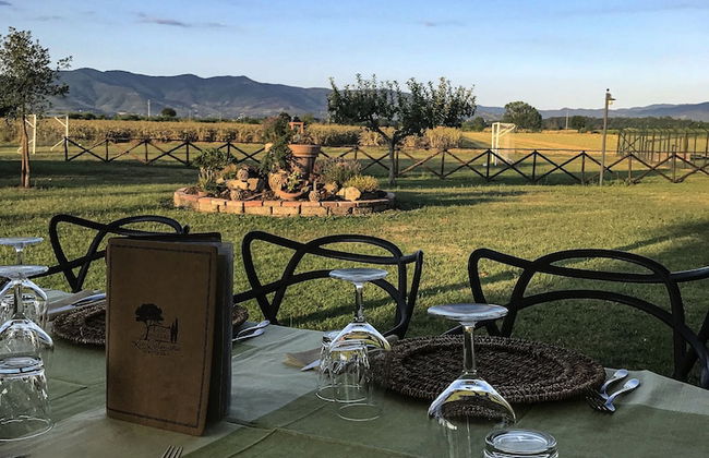 Agriturismo La Colmata - Photo 43