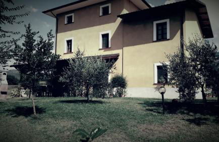 Viale dei Ciliegi - Foto 1