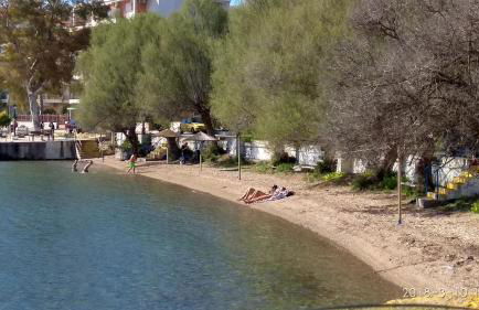 Liland Lefkandi - Foto 33