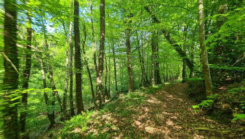 Kêr Neizh Breizh - Gîtes de Charme - Le Petit Châtelier - Foto 3