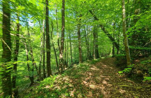 Kêr Neizh Breizh - Gîtes de Charme - Le Petit Châtelier - Foto 3