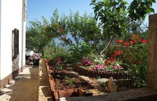 Apartments Ljilja sea view - Photo 24