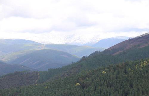 Casa dos Teares - Foto 30