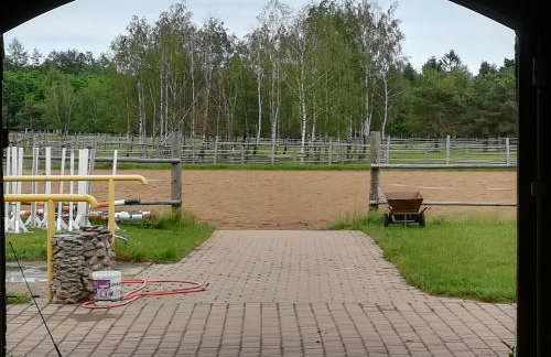 Pensjonat Przy Stajni - Foto 54