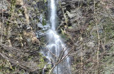 Ferienwohnung Haus Luise - Foto 33