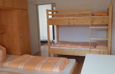 Sonnenblume - Photo 5