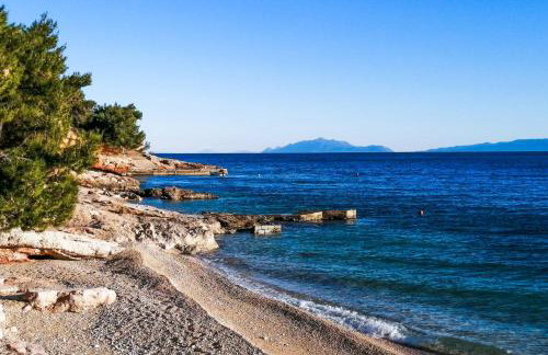 Zavala Residence - Foto 22