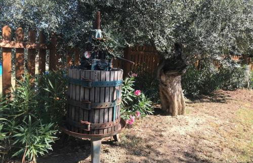 Appartamento Olivo - Foto 4