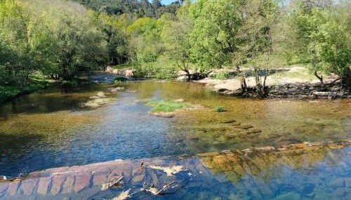 Casinha Ponte Nova - Foto 4