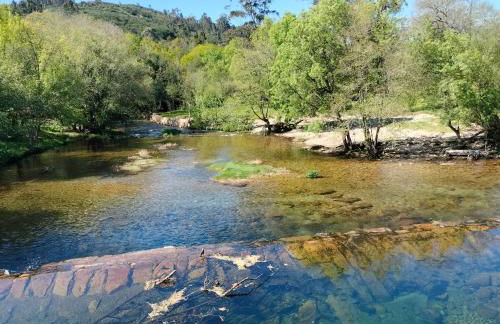 Casinha Ponte Nova - Photo 4