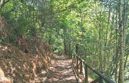 Luna Menguante Casa Luna de La Viliella - Foto 49