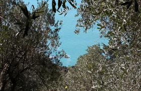 Corner of Paradise near Cinque Terre - Foto 62