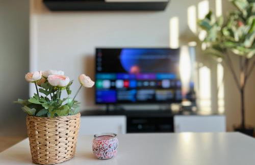 STARiVA - Terrasse über Dresden - Kaffeemachine - Netflix - Brettspiele - Foto 30