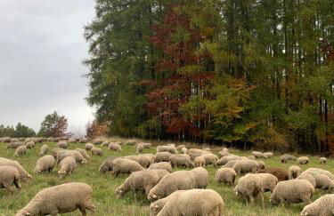 Gîtes les COMBES - Foto 23