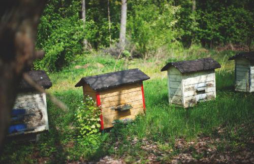 Drewniany Domek w Zakątku Andrzeje Śniczany 18 - Photo 23