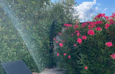 Vila Primorka-Apartmani Lavanda - Foto 64