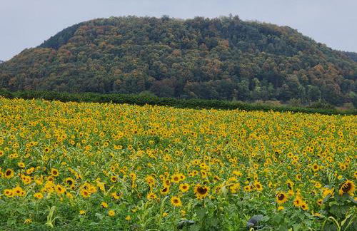 Ferienwohnung MW 1b 82m2 Höxter Weserbergland Weser inkl 2 Terrassen Wäsche und Endreinigung Self CheckIn - Foto 55