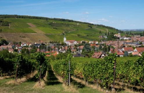 Appartement chaleureux et cocooning à Barr - Escapade chez Valentine - Photo 19