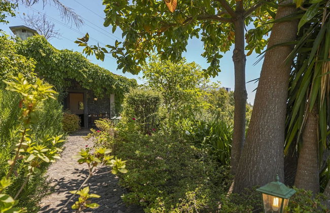 Quinta Devónia II - Tília by An Island Apart - Foto 25