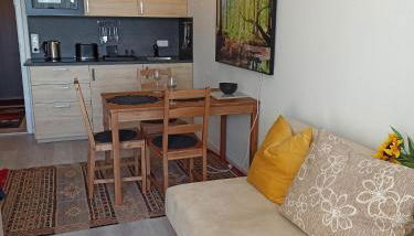 Berghof Studio Haus Rachel mit Pool - Foto 3