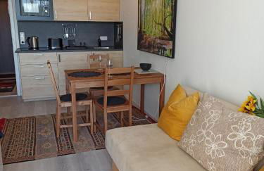 Berghof Studio Haus Rachel mit Pool - Foto 3