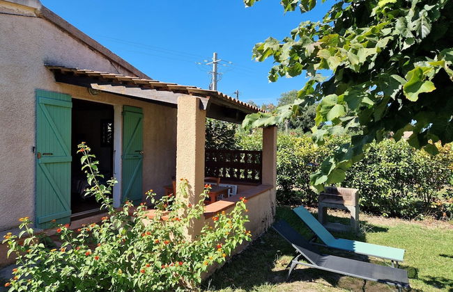 Pinea Mare - Foto 37