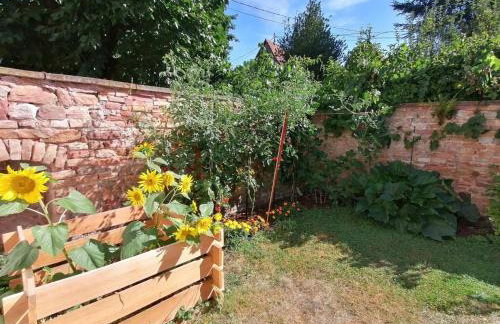 Maison Kobold XVIè siècle - Foto 12