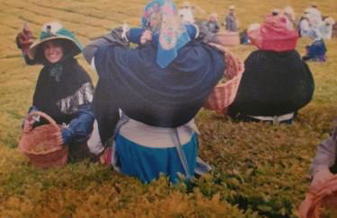 Apartamento T3 Ponta Delgada - Photo 37