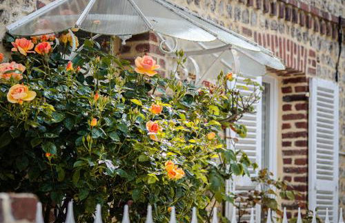 Planchettes - Foto 13