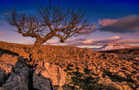 Linton Court Coach House - Foto 7