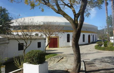 El Retoño - Photo 25