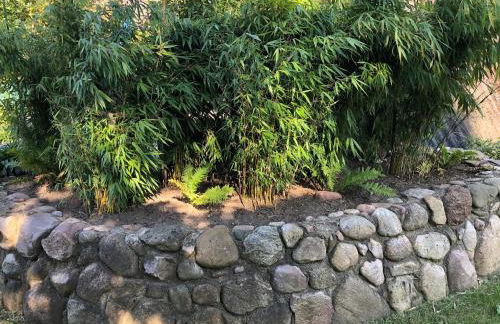 Ferienhaus am Tannenbad - Foto 35