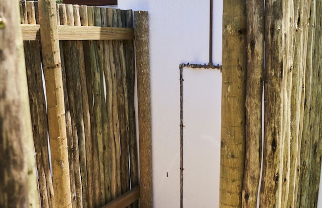 Raptor Rise - Foto 9