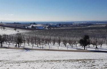 Ferienwohnung Stryck - Foto 23