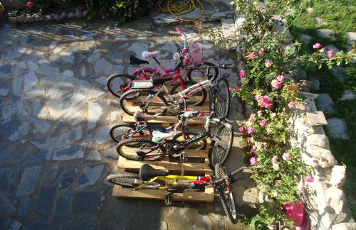 Alexandra Homestay - Foto 78