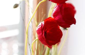 Ferienwohnung Erhard - Foto 7