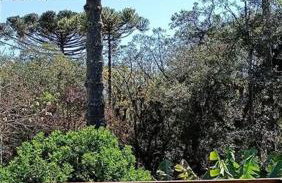 Chácara do Sapé - Foto 16