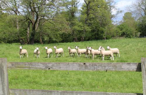 Hewletts Mill - Foto 22