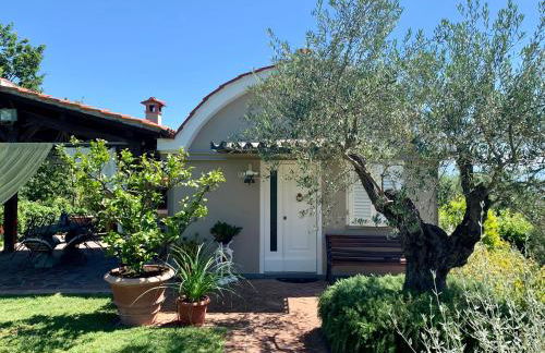 Casa le valli - Foto 14