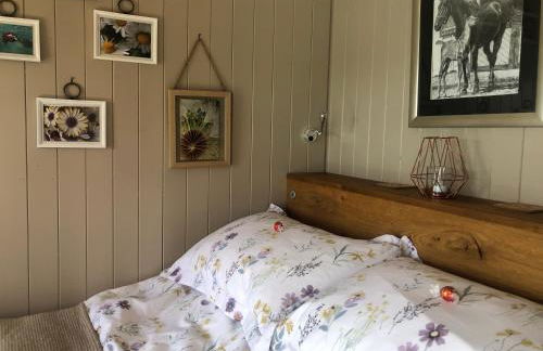 Private Shepherds hut with Castle view - Foto 8