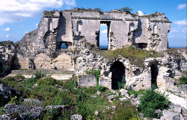 Ticket to the Coucy Castle - Photo 2