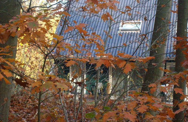 Relaxing Woodland Retreat - Foto 29