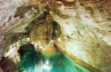 Tiny house cosy - Foto 29