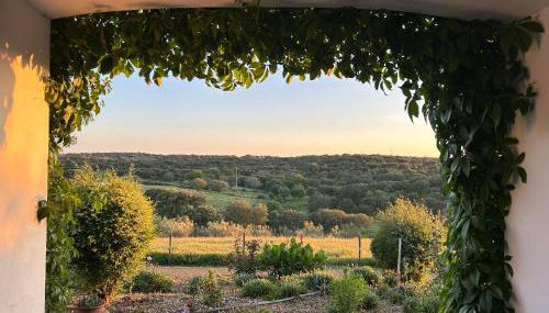 Herdade das Pintas - Foto 4